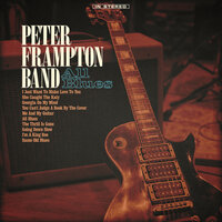 You Can't Judge A Book By The Cover - Peter Frampton Band