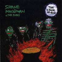 Truck Drivin' Man - Shane MacGowan, The Popes