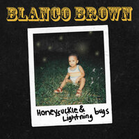 Temporary Insanity - Blanco Brown