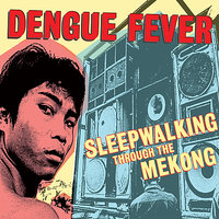 Hummingbird - Dengue Fever