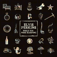 While You Were Sleeping - Elvis Perkins