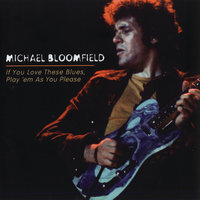 Death In My Family - Michael Bloomfield
