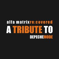 Shake The Disease (Depeche Mode cover) - Seize