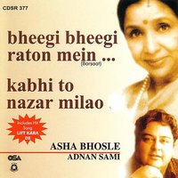 Bheegi Bheegi Raton Mein - Adnan Sami Khan