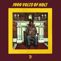 Stoned Out Of My Mind - John Holt