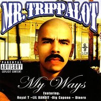 My Ways - Mr. Trippalot, Shifty