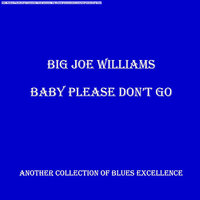 Big Joe Williams