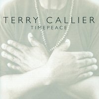 Lazarus Man - Terry Callier