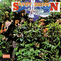 Made Up My Mind - Savoy Brown