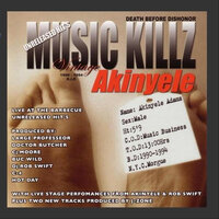 In The Zone - Akinyele