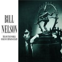 Eros Arriving - Bill Nelson