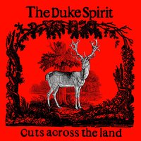 Lion Rip - The Duke Spirit