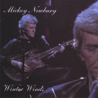 Nights When I Am Sane - Mickey Newbury