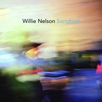 Stella Blue - Willie Nelson