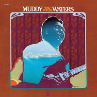 Drive My Blues Away - Muddy Waters