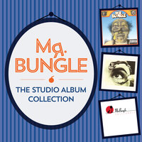 Chemical Marriage - Mr. Bungle