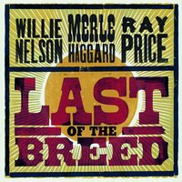 I'll Keep On Loving You - Willie Nelson, Merle Haggard, Ray Price