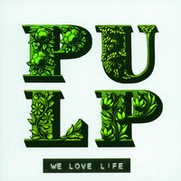 Bob Lind (The Only Way Is Down) - Pulp