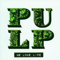 Birds In Your Garden - Pulp