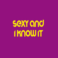 Sexy and I Know It (LMFAO Tribute) - The Hits