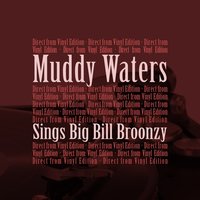 Moppers's Blues - Muddy Waters