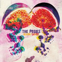 She's Coming Down Again! - The Posies