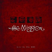 Shelter From The Storm - The Mission