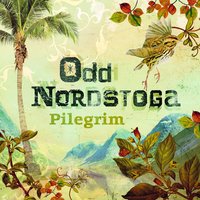 Min eigen song - Odd Nordstoga