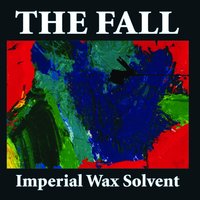 Wolf Kidult Man - The Fall