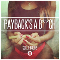 Payback's a B**ch - Collie Buddz