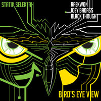 Bird's Eye View (feat. Raekwon, Joey Bada$$ & Black Thought) - Statik Selektah, Raekwon, Joey Bada$$