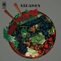 Where Is This Dream Of Your Youth? - Strawbs
