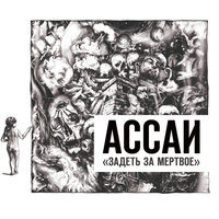 ЗЗМ - Ассаи