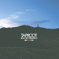 April Suits - TapRoot