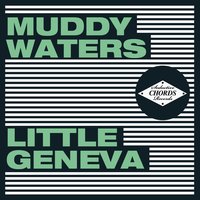 Country Blues No.2 - Muddy Waters