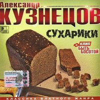 На Воркуту - Александр Кузнецов
