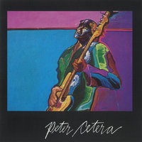 Not Afraid to Cry - Peter Cetera