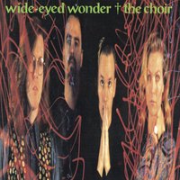 Wide-Eyed Wonder - The Choir