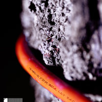 Soul Let Swim - Sarah Fimm