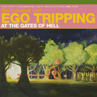 Assasination of the Sun - The Flaming Lips