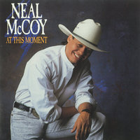 If I Built You a Fire - Neal McCoy