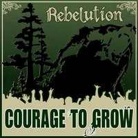Heart Like a Lion - Rebelution