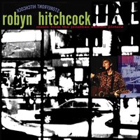 The Wind Cries Mary - Robyn Hitchcock
