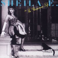The Belle of St. Mark - Sheila E.