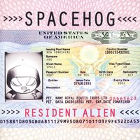 Never Coming Down - Spacehog