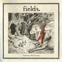 Charming the Flames - Fields