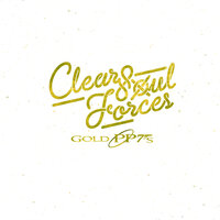 Sparring Session - Clear Soul Forces
