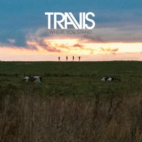 Moving - Travis