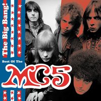 Back in the USA - MC5