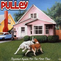 In Search - Pulley